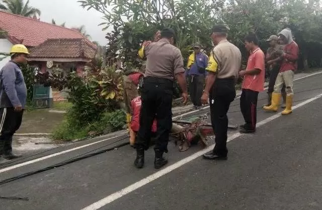 Pohon Dan Tiang Listrik Tumbang Di Tabanan Bali Express