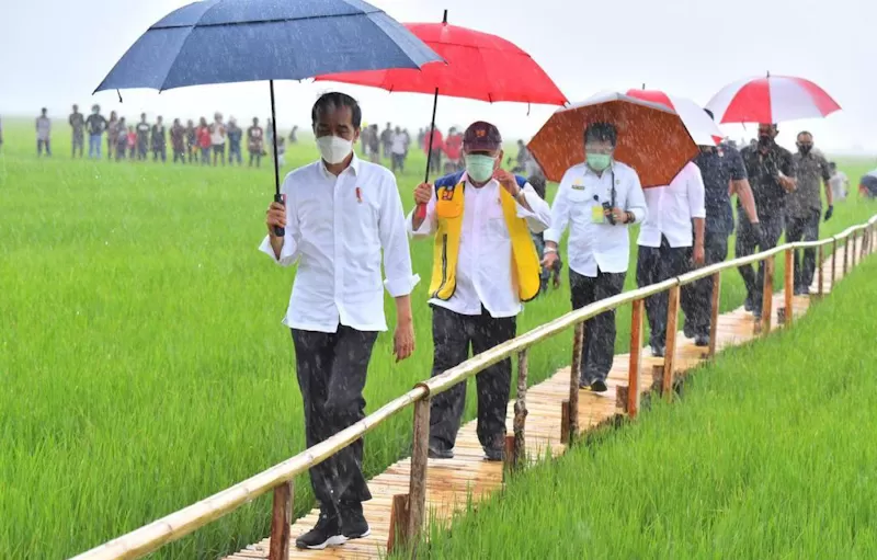 Meski Dikritik Pdip Jokowi Tegaskan Bakal Tetap Lanjutkan Program Food