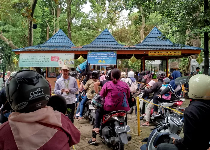 Taman Margasatwa Ragunan Masih Jadi Favorit Wisata Jakarta Jumat 12 4