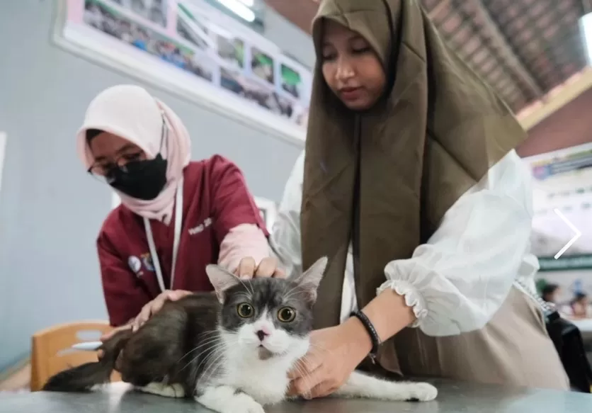 Peringati Hari Rabies Sedunia Pemkot Depok Gelar Vaksin Rabies Gratis