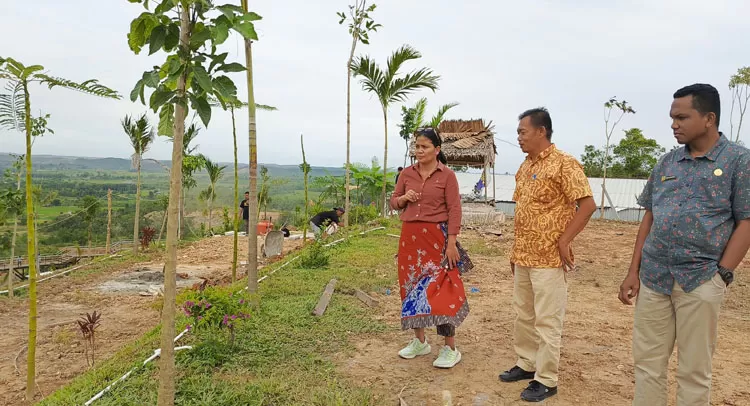 Upaya Otorita IKN Pulihkan Lingkungan Lahan Bekas Tambang Akan