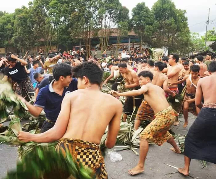 Uniknya Tradisi Siat Sarang Di Karangasem Bali Ternyata Ini Maknanya