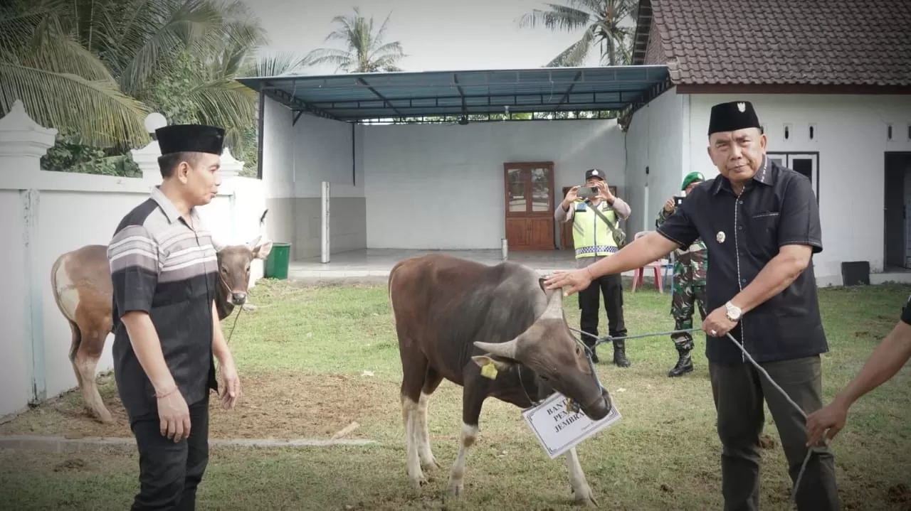 Bupati Tamba Menyerahkan Bantuan Hewan Kurban Bupati Juga Menyerahkan