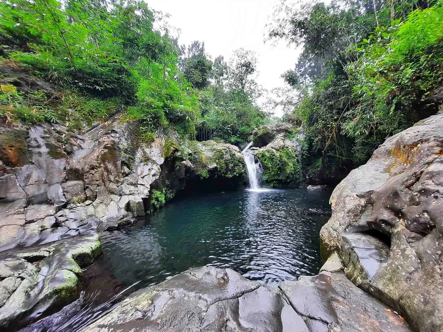 Rekomendasi Wisata Alam Di Purwokerto Pas Banget Jadi Tempat Healing