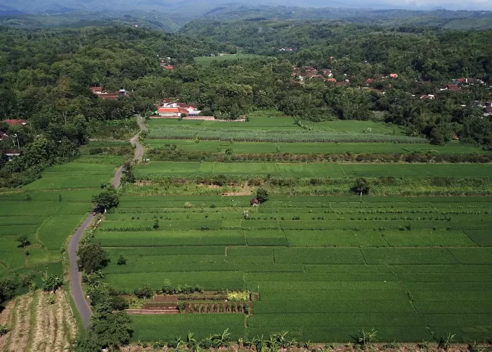 Kebut Pembayaran Tanah Di Mojoroto Kediri Progres Pengadaan Lahan Tol