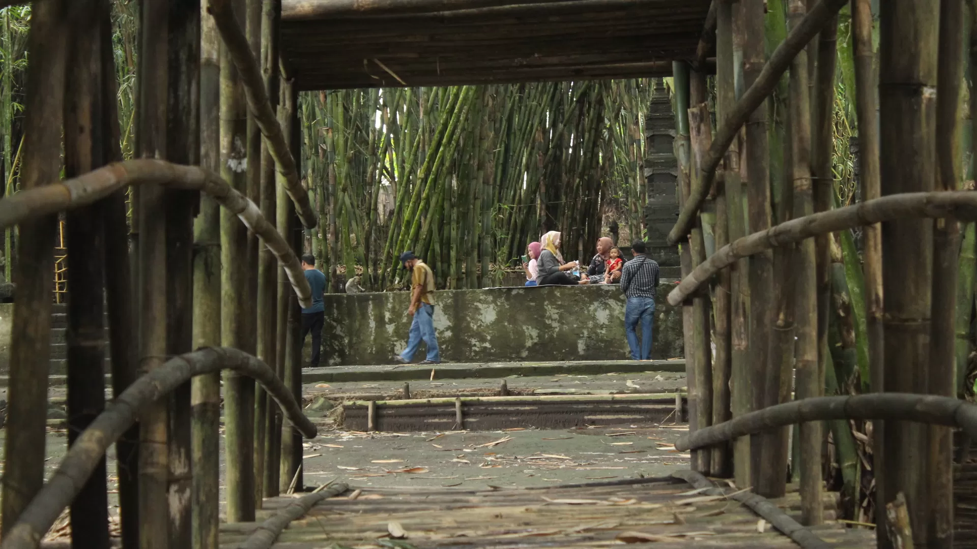 Berikut Cara Ke Hutan Bambu Lumajang Alamnya Sejuk Bisa Mandi Di