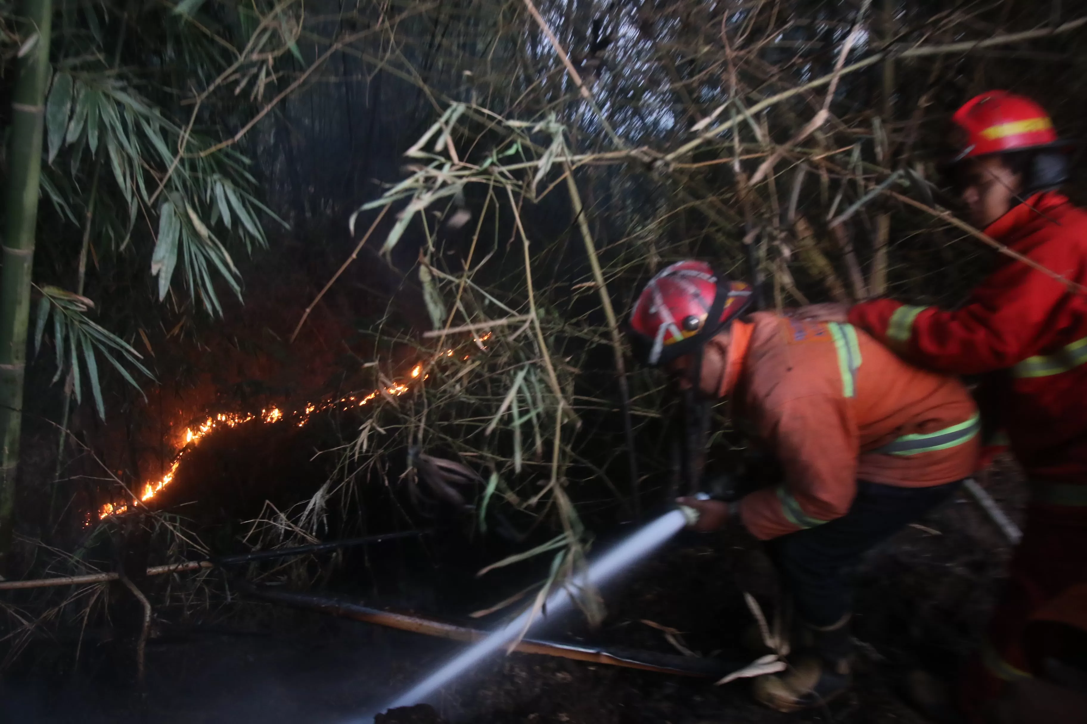 Lagi Lahan Bambu Di Joyogrand Malang Alami Kebakaran Radar Malang