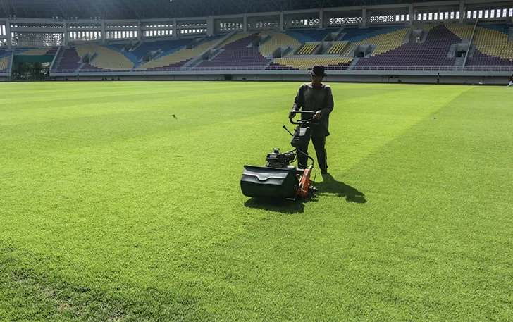 Kualitas Rumput Stadion Jadi Catatan FIFA Pemkot Optimalkan Perbaikan