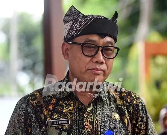 Separo Lebih Pendaftar Cpns Gagal Lolos Seleksi Administrasi Radar