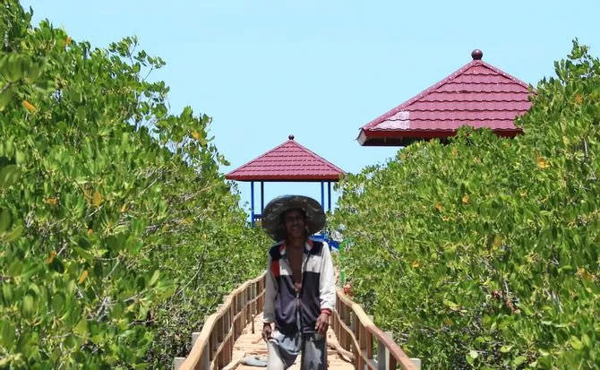 Luas Hutan Menurun Radar Madura