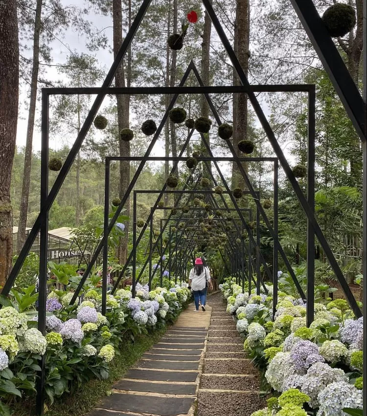 Rekomendasi Wisata Bandung Orchid Forest Cikole Di Lembang Cek Harga