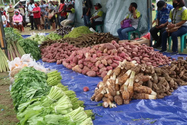 10 Ton Pangan Lokal Disalurkan Bagi Orang Asli Papua Terdampak Corona ...