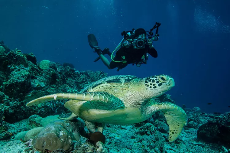 7 Rekomendasi Wisata Alam Bawah Laut Buat Kamu Yang Hobi Diving Dan