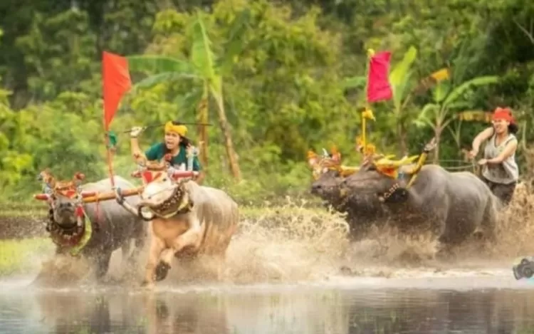 Ayo Cari Tahu Inilah Desa Wisata Terbaik Di Bali Penerima ADWI 2023