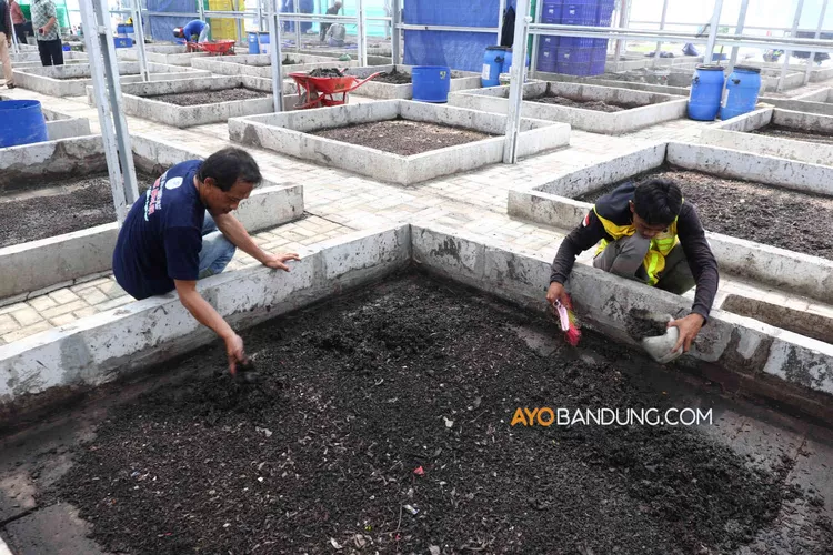 Berkunjung Ke Pengolahan Sampah Organik Untuk Pakan Maggot Di TPST