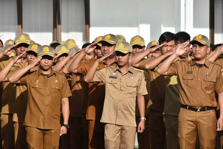 Mengenal Istilah GOLONGAN RUANG Dalam Pangkat PNS Perlu Kamu Ketahui Klik Pendidikan