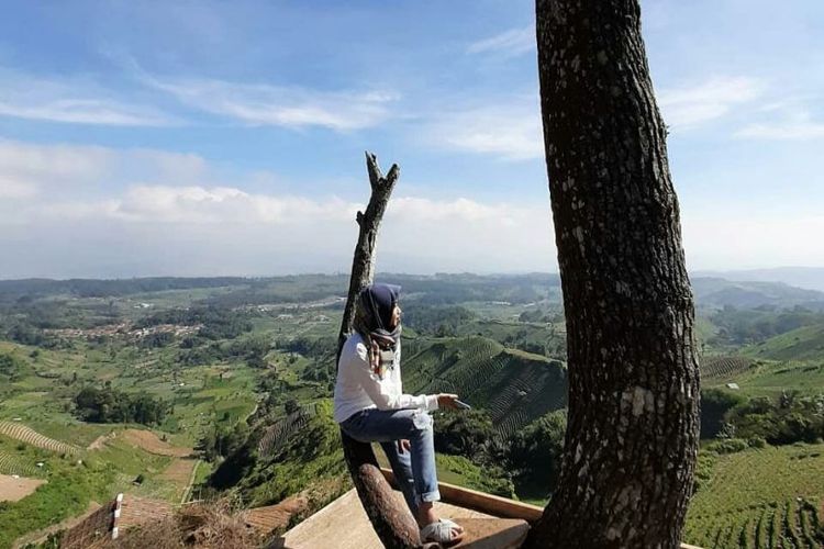 Tempat Wisata Puncak Sawiyah Majalengka Yang Ramai Dikunjungi Beritrust