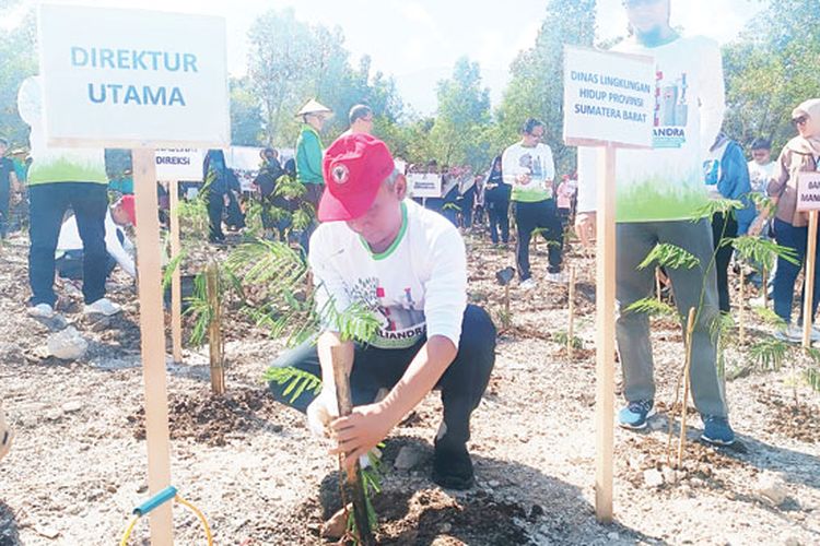 Berita Seputar Balai Sertifikasi Dan Pembenihan Tanaman Hutan Sumbar