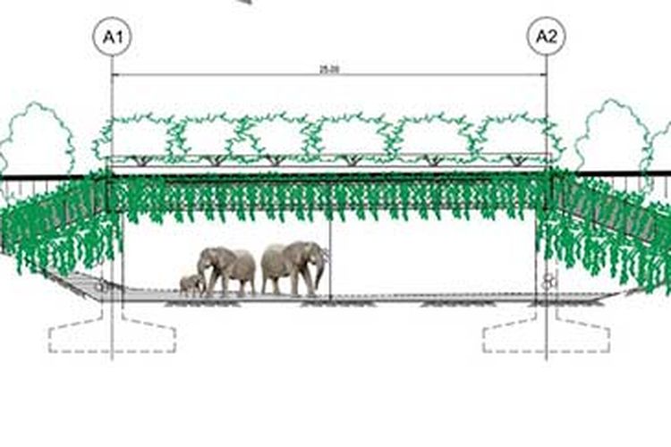 Enam Underpass Tol Pekanbaru-Dumai Spesial Buat Gajah Liar - Riau Pos