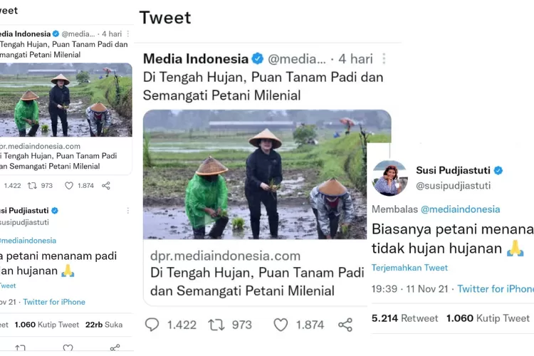 Puan Maharani Nanam Padi Saat Hujan Disindir Susi Pudjiastusti