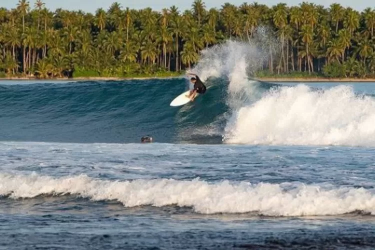 Kerennya Pantai Di Nias Selatan Jadi Tempat Kompetisi Surfing Kelas