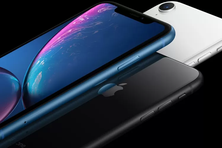 Berapa Harga IPhone XR Sekarang Cek Harga Jual Terbaru Awal September