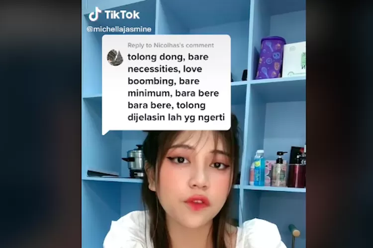 Arti Bare Necessities Atau Bare Minimun Yang Viral Di Tiktok Ternyata