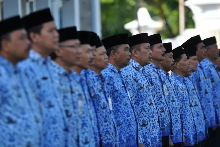 Kabar Gembira Pendaftaran Cpns Dibuka Simak Formasi Yang