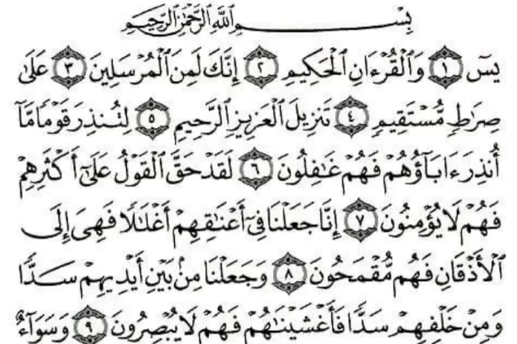 Surat Yasin Dalam Ayat Lengkap Dengan Huruf Arab Latin Dan Terjemahan Bahasa Indonesia