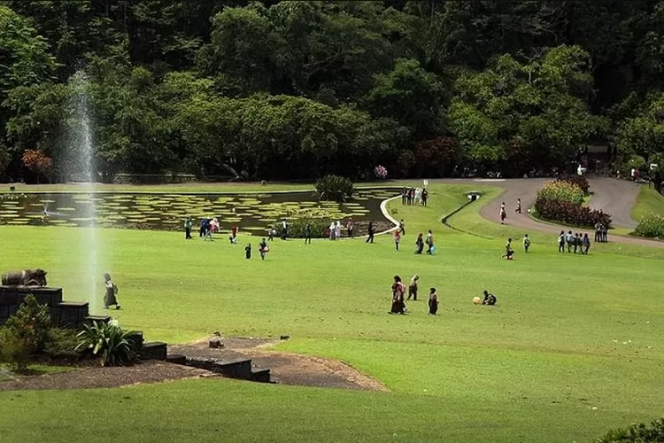 Tiket Masuk Kebun Raya Bogor Berapa Begini Cara Belinya Ayo Bogor