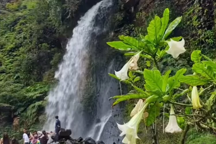 Taman Nasional Gunung Gede Dan Pangrango TNGGP Salah Satu Wisata