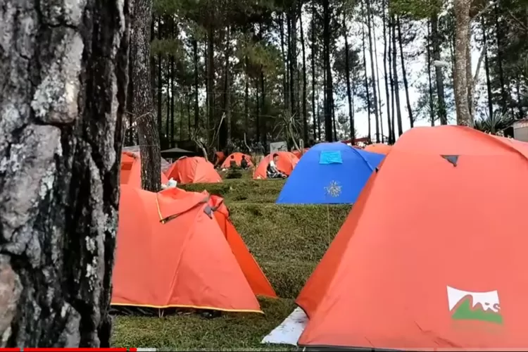 Memiliki View Alam Terbaik Berikut Rekomendasi Camping Ground Trawas