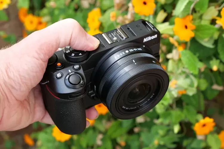 Kamera Mirrorless Terbaik Untuk Fotografi Makro Pilihan Dan Teknik