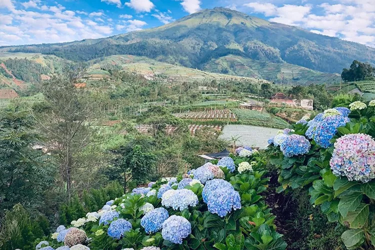 Kunjungi Tempat Wisata Hits Di Magelang Jateng Cocok Untuk Liburan