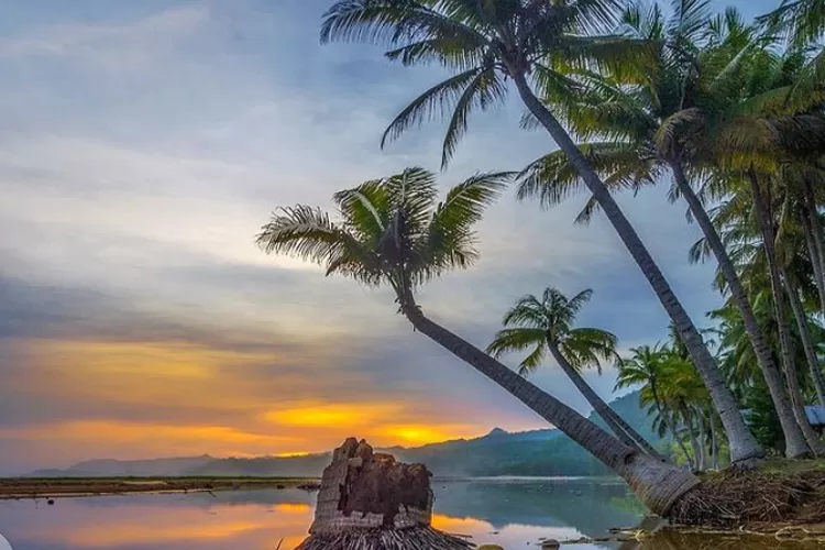 WAH Pacitan Surga Tersembunyi Di Ujung Timur Jawa Wisata Di Bali