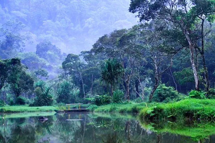 Telusuri Keindahan Wisata Alam Di Kalimantan Barat Sekali Datang