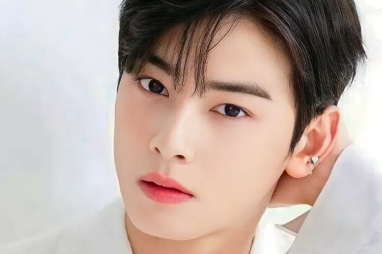 Biodata Cha Eun Woo Yang Berhasil Membuat Penggemar Terharu Dengan Lagu