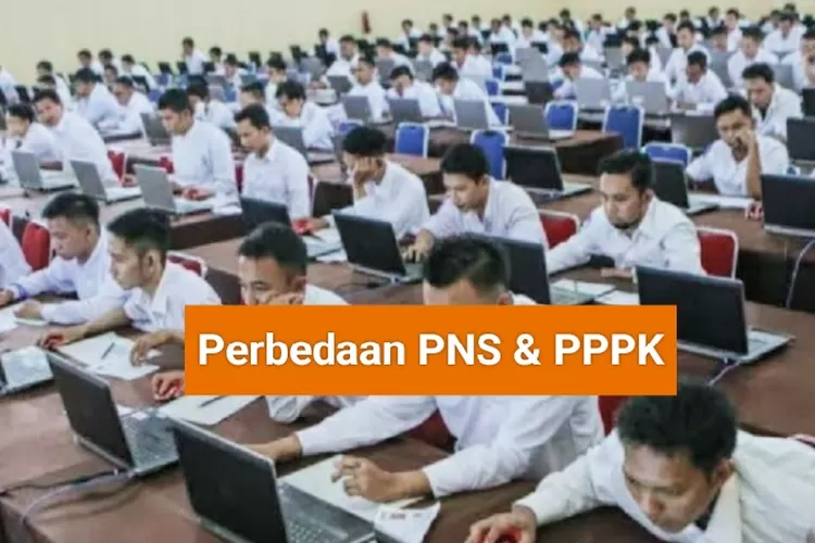 Ternyata Ini Perbedaan PNS Dan PPPK Wajib Anda Ketahui Kabar NTT