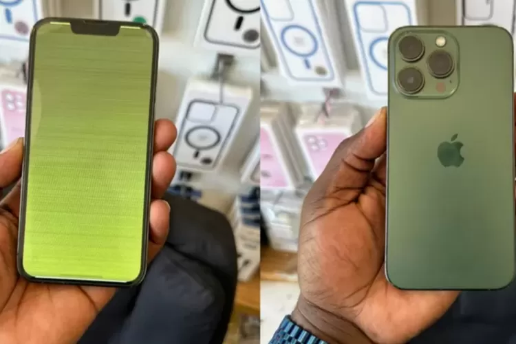 Jangan Khawatir Ternyata Masalah Green Screen Di Iphone Pro Bisa