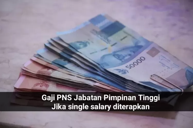 Gaji Pns Jabatan Pimpinan Tinggi Sebanyak Ini Dalam Wacana Single