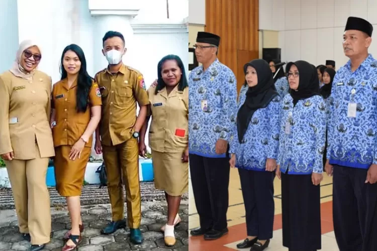 Cek Perbedaan Antara Cpns Pns Dan Pppk Pemerintah Tetapkan Segini Hot Sex Picture