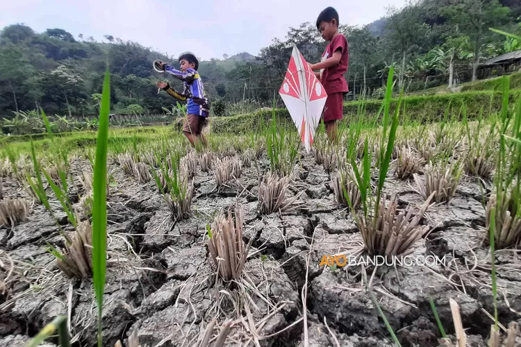 Foto Puncak Musim Kemarau Diprediksikan Terjadi Bulan Agustus