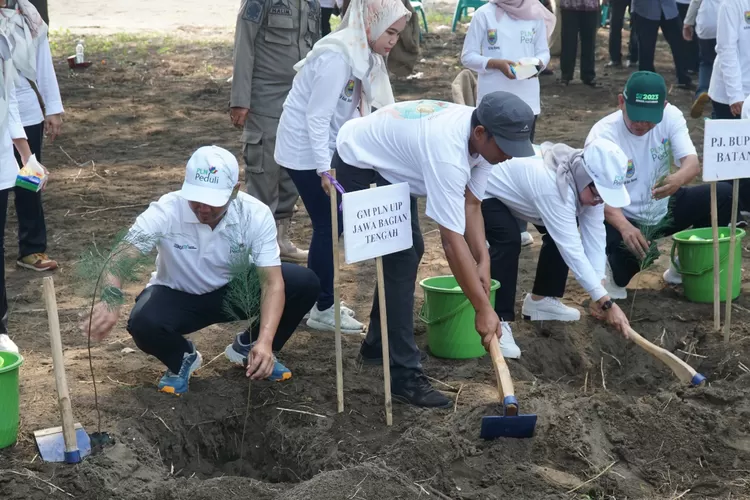 Cegah Abrasi Pantai Di Batang Kolaborasi Pln Uip Jbt Tanam Ribu