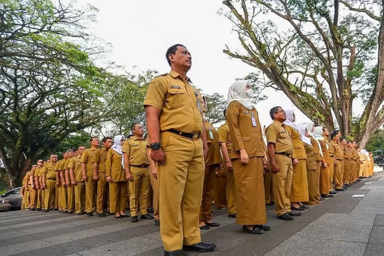 Luar Biasa Guru Honorer Dapat Formasi Paling Banyak Pada Seleksi Asn