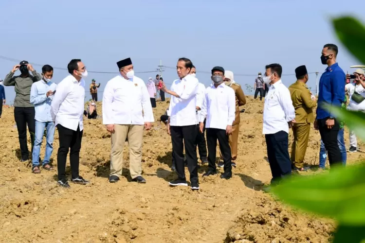 Jokowi Resmikan Lumbung Pangan Mangga Di Gresik Hasil Panen Bisa Di