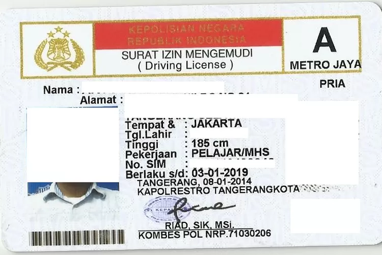 Enggak Perlu Repot Inilah Cara Membuat Sim Secara Online Tahun