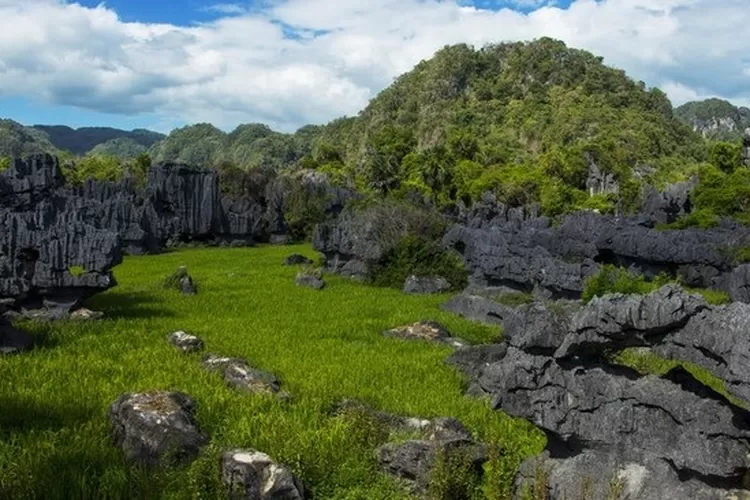 Gubernur Sulsel Bawa Kabar Baik Maros Pangkep Resmi Masuk UNESCO