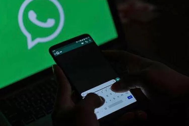 Hati Hati Modus Penipuan Begini Cara Melaporkannya Lewat WhatsApp Akurat