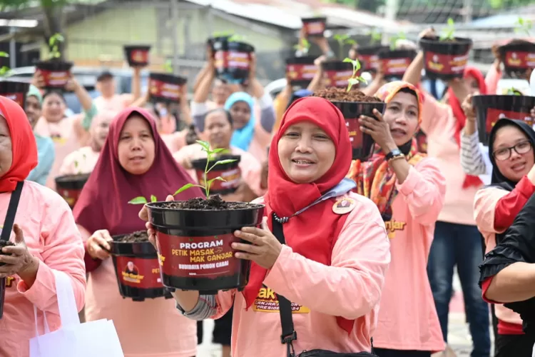 Perkuat Ketahanan Pangan Mak Ganjar Gelar Petik Masak Di Jaktim Akurat