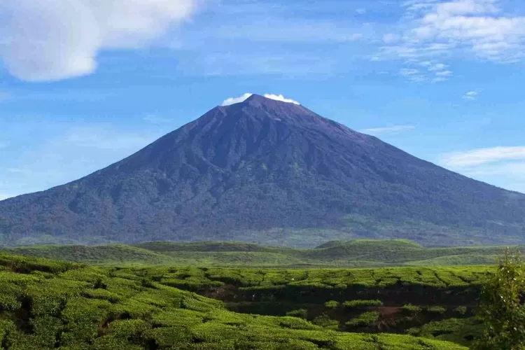 Sebelum Mendaki Gunung Kerinci Jangan Abaikan Informasi Penting Ini